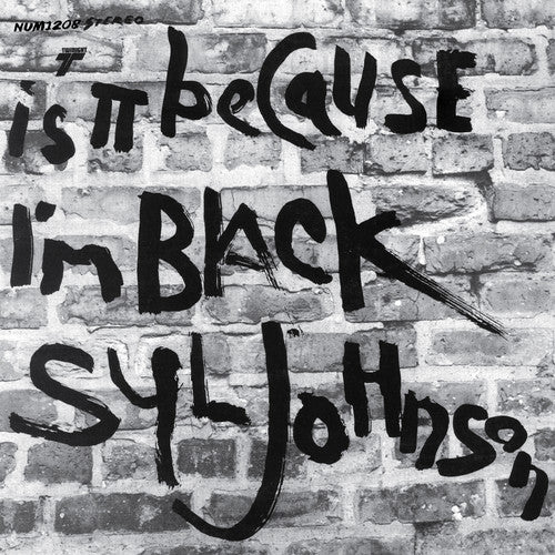 Johnson, Syl: Is It Because I'm Black (50th Anniversary Edition) / RECORD