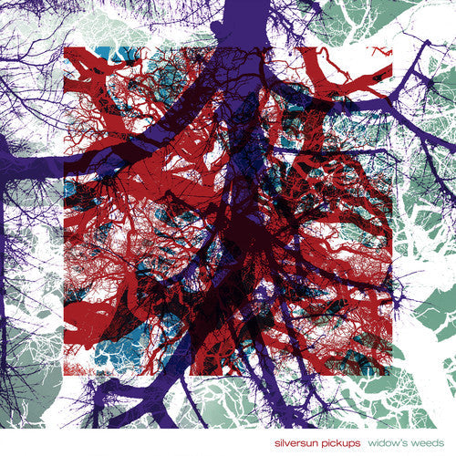 Silversun Pickups: Widow's Weeds / RECORD
