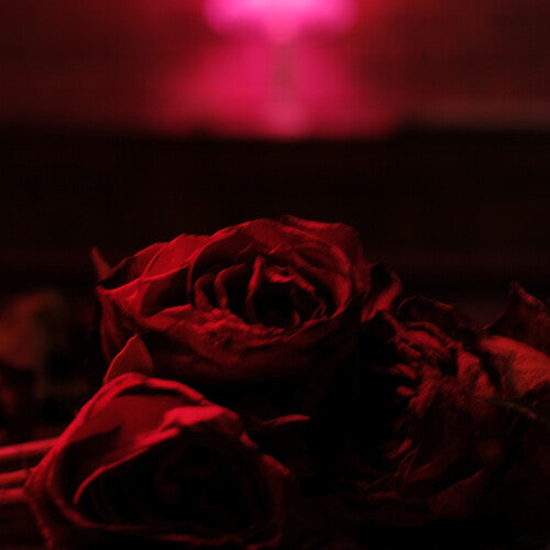 The Paper Kites: Roses / RECORD
