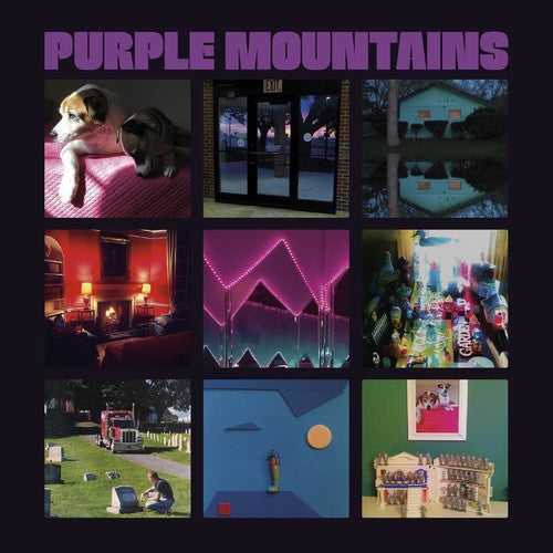 Purple Mountains: Purple Mountains / RECORD
