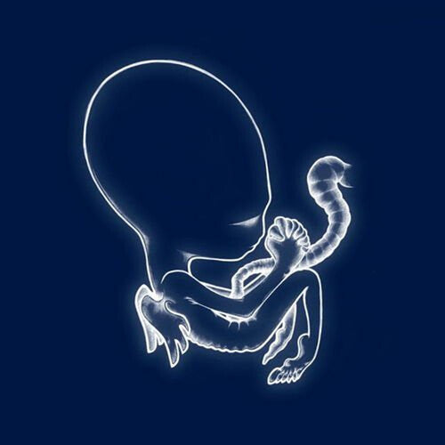 Sigur Ros: Agaetis Byrjun / RECORD