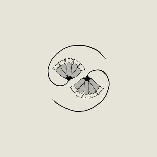Godspeed You Black Emperor: G_d's Pee AT STATE'S END! (Incl. 10") / RECORD