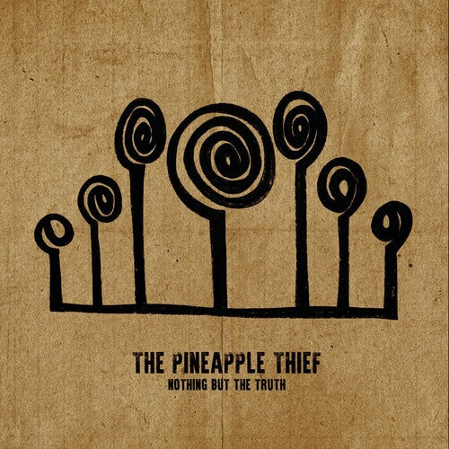 Pineapple Thief: Nothing But The Truth / RECORD