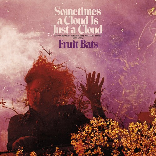 Fruit Bats: Sometimes a Cloud Is Just a Cloud: Slow Growers, Sleeper Hits and Lost Songs (2001–2021) / RECORD