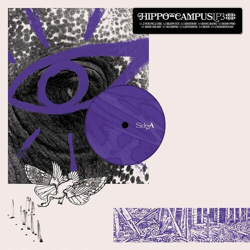 Hippo Campus: Lp3 / RECORD