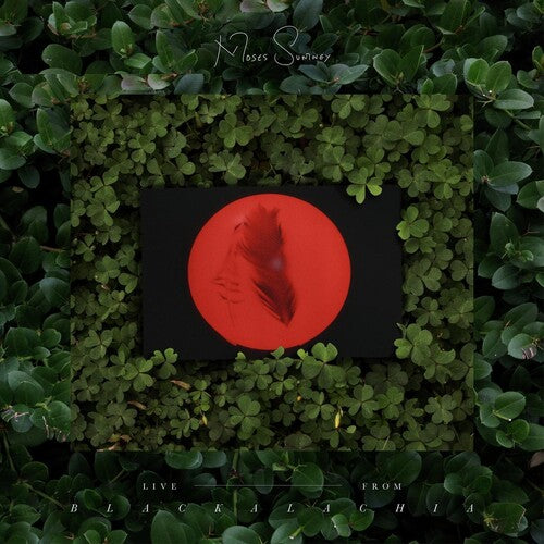 Moses Sumney: Live From Blackalachia (Clear Green) / RECORD