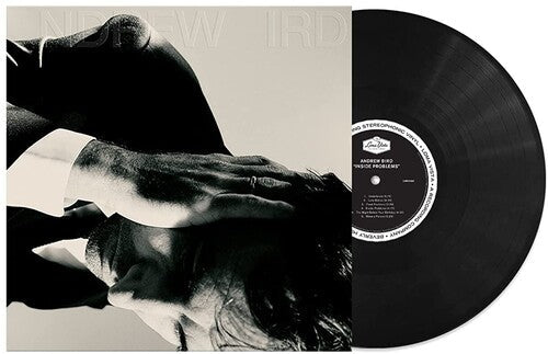 Andrew Bird: Inside Problems / RECORD