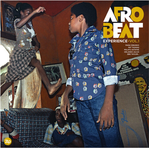 Afrobeat Experience: Vol 1 / RECORD