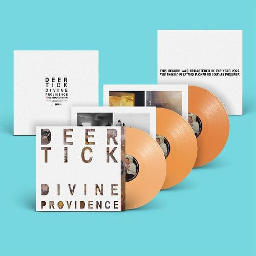 Deer Tick: Divine Providence / RECORD