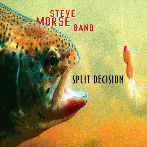 Steve Morse Band: Split Decision / RECORD