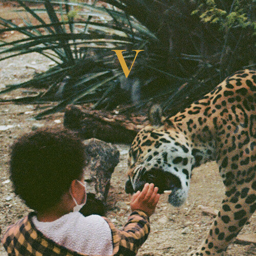 Unknown Mortal Orchestra: V / RECORD
