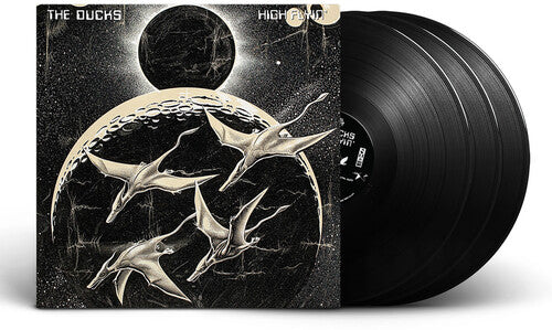 Ducks: High Flyin / RECORD