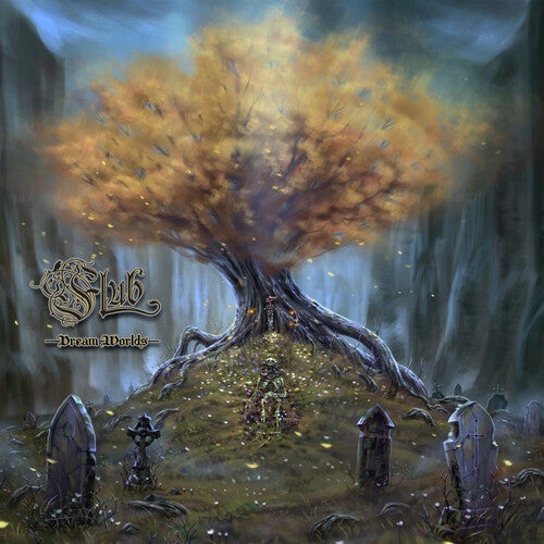 Flub: Dream Worlds / RECORD