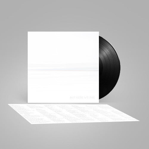 Foo Fighters: But Here We Are (Black Vinyl) / RECORD