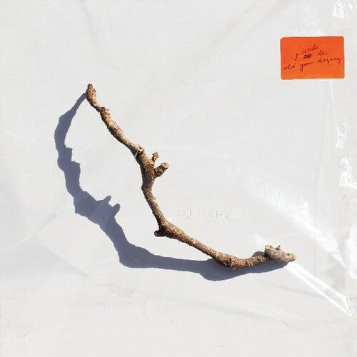 PJ Harvey: I Inside The Old Year Dying / RECORD