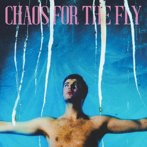 Grian Chatten: Chaos For The Fly / RECORD
