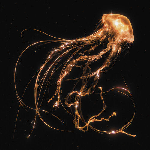 Royal Blood: Back To The Water Below / RECORD