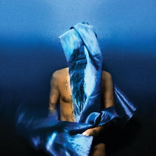 Devendra Banhart: Flying Wig / RECORD