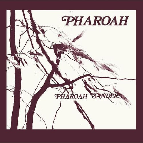 Pharoah Sanders: Pharoah / RECORD