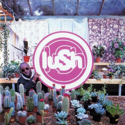 Lush: Lovelife / RECORD