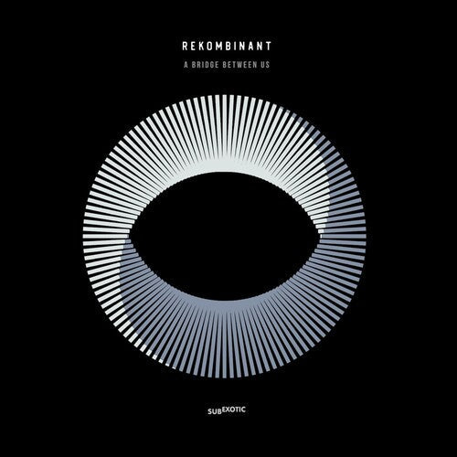 Rekombinant: A Bridge Between Us / Vinyl LP