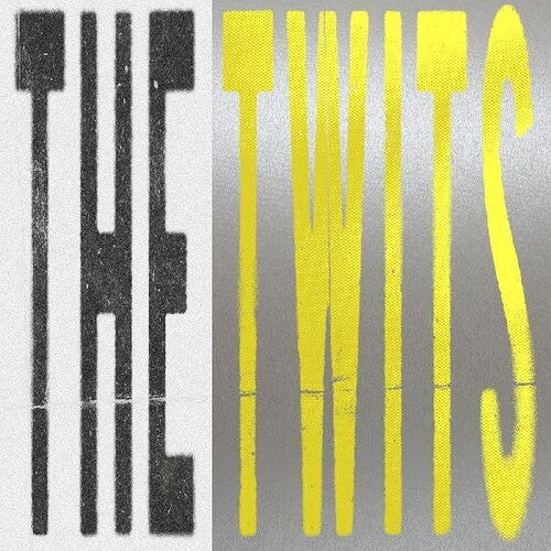 Bar Italia: The Twits / RECORD