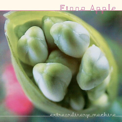 Fiona Apple: Extraordinary Machine / RECORD