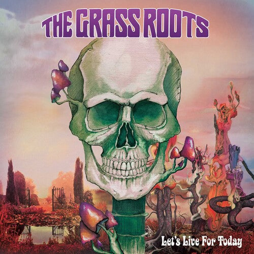 The Grass Roots: Let's Live For Today / RECORD