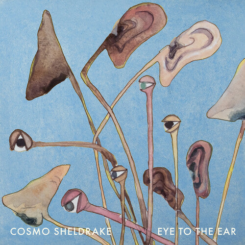 Cosmo Sheldrake: Eye to the Ear / RECORD