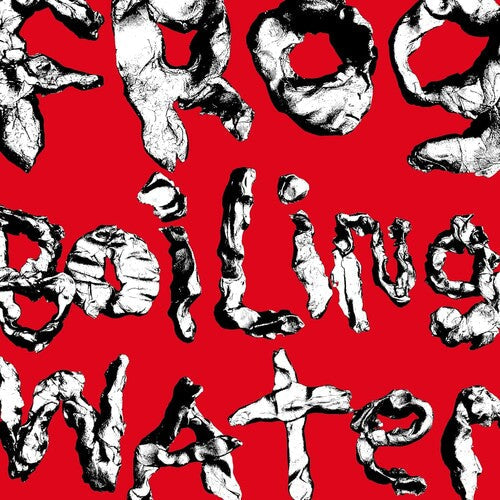 DIIV: Frog In Boiling Water / RECORD