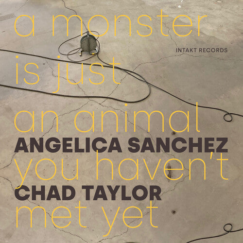 Angelica Sanchez: A Monster Is Just an Animal You Haven't Met Yet - CD
