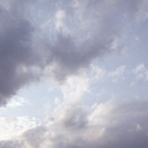 Celer: It Would Be Giving Up { CD }