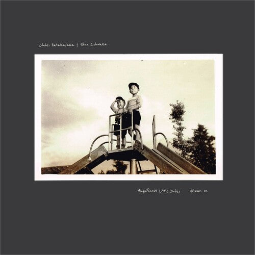 Chihei Hatakeyama: Magnificent Little Dudes Vol. 1 - VINYL