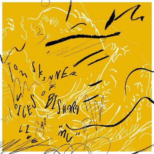 Tom Skinner: Voices Of Bishara Live At 'mu' - CD