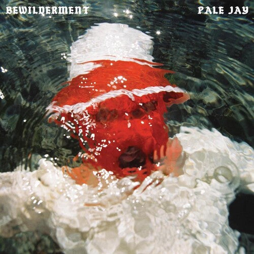 Pale Jay: Bewilderment / RECORD