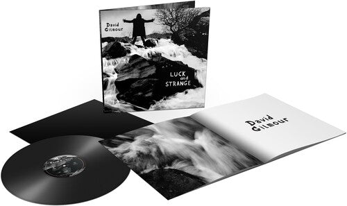 David Gilmour: Luck And Strange Vinyl / RECORD
