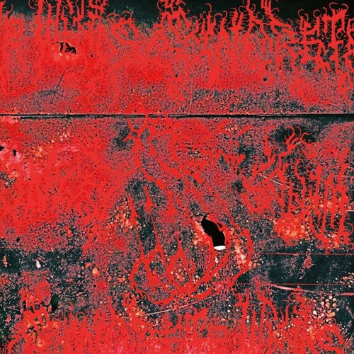 Concrete Winds: Concrete Winds / RECORD