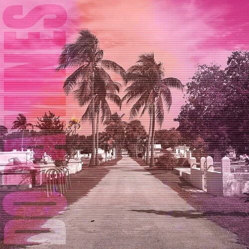 The Dopamines: 80/20 / RECORD