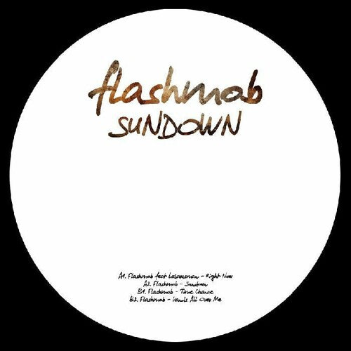 Flashmob: Sundown Album Sampler - 12-INCH SINGLE