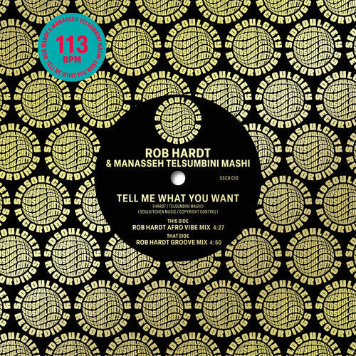 Hardt, Rob / Mashi, Manasseh Telsumbini: Tell Me What You Want - 7-INCH SINGLE
