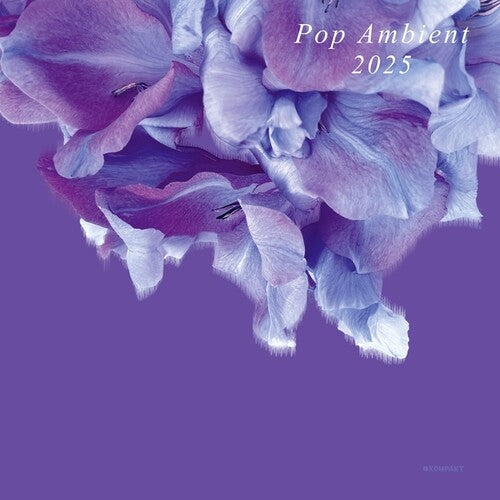 Various Artists: Pop Ambient 2025 / RECORD