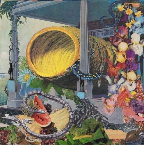 Memotone: Pruning / Vinyl LP