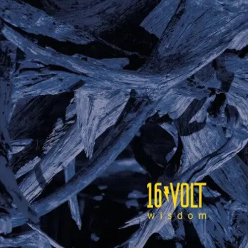 16Volt: Wisdom / RECORD