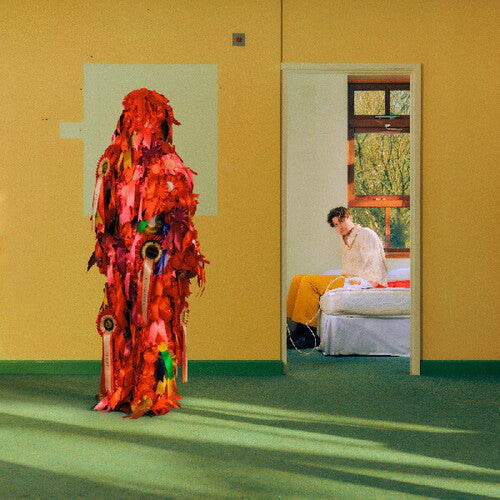 Barry Can't Swim: Loner / RECORD