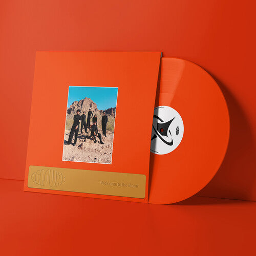 Leisure: Welcome to the Mood / RECORD