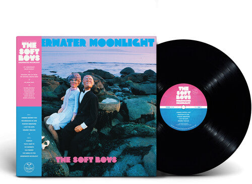 The Soft Boys: Underwater Moonlight / RECORD