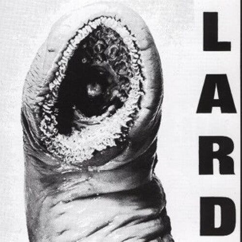 Lard: Power Of Lard - White / RECORD