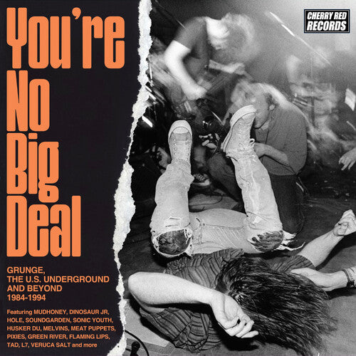 You're No Big Deal: Grunge Us Underground & Beyond: You're No Big Deal: Grunge, The U.S. Underground & Beyond 1984-1994 / Various - CD