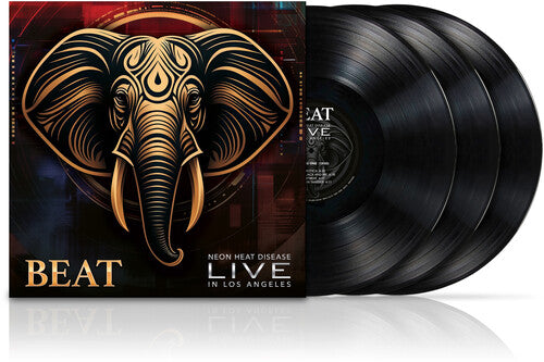 BEAT: BEAT Live / RECORD