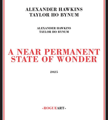 Hawkins, Alexander / Bynum, Taylor Ho: Near Permanent State Of Wonder - CD